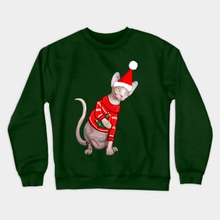 Cozy Christmas Sphynx Cat Crewneck Sweatshirt
